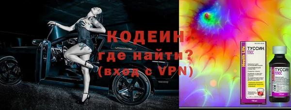 шишки Абаза
