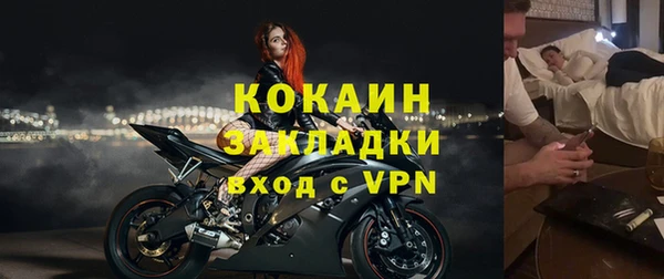 шишки Абаза