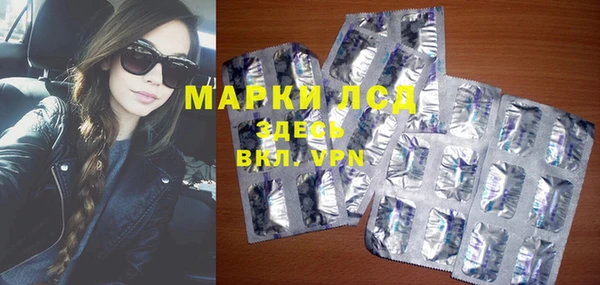 шишки Абаза
