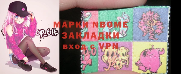 шишки Абаза