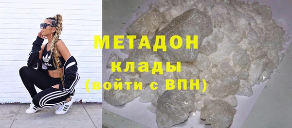 шишки Абаза