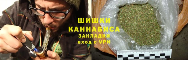 шишки Абаза
