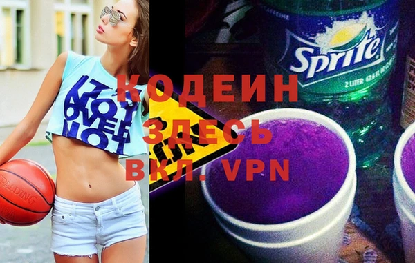 шишки Абаза
