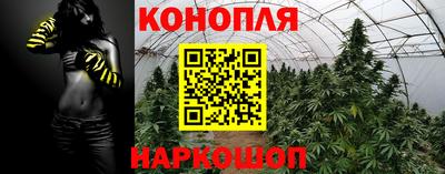 apvp Новозыбков