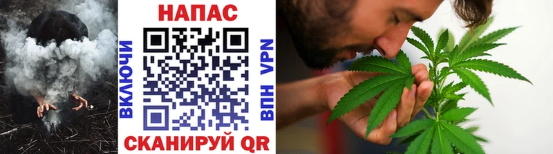 Бошки Шишки SATIVA & INDICA  Владикавказ 