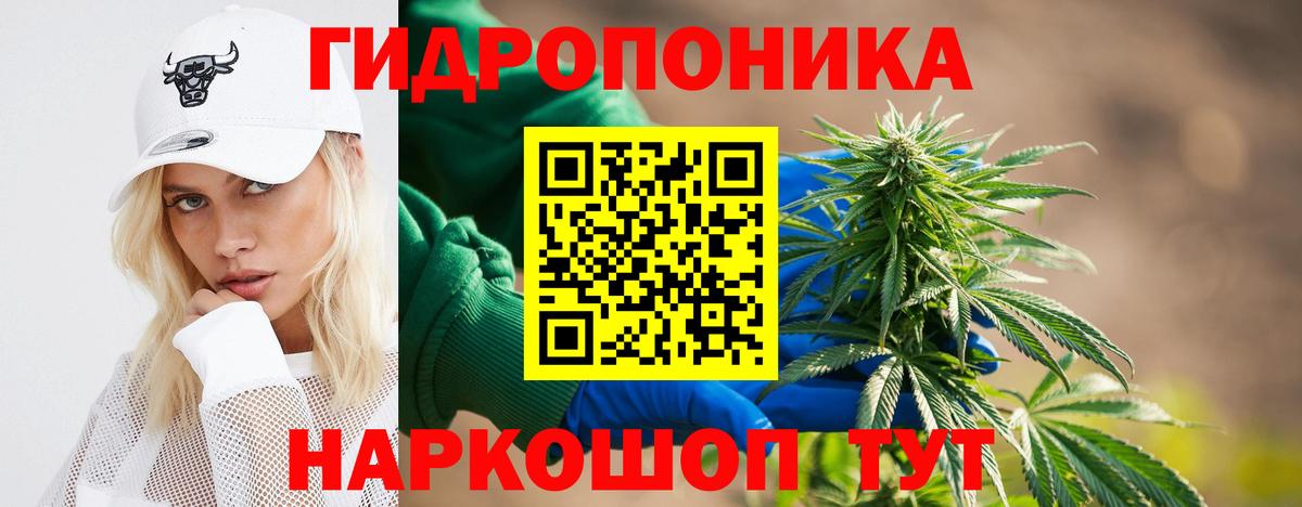 Владикавказ  Конопля VHQ  Каннабис индика  Каннабис тримм  Канабис планчик  Вход с VPN 